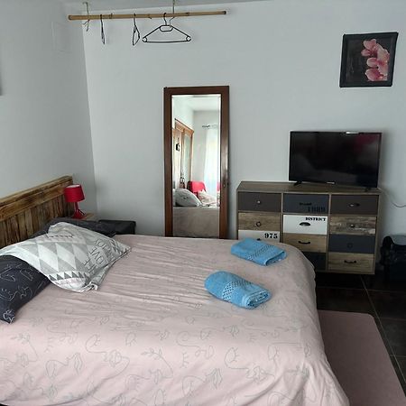 Bed and Breakfast Proprietaire Prive Carcasona Exterior foto